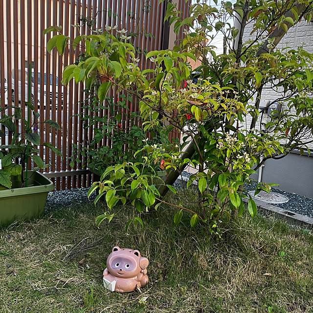 emiさんの部屋