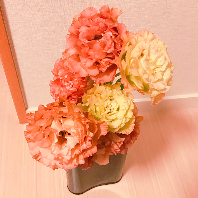 wayukiさんの実例写真