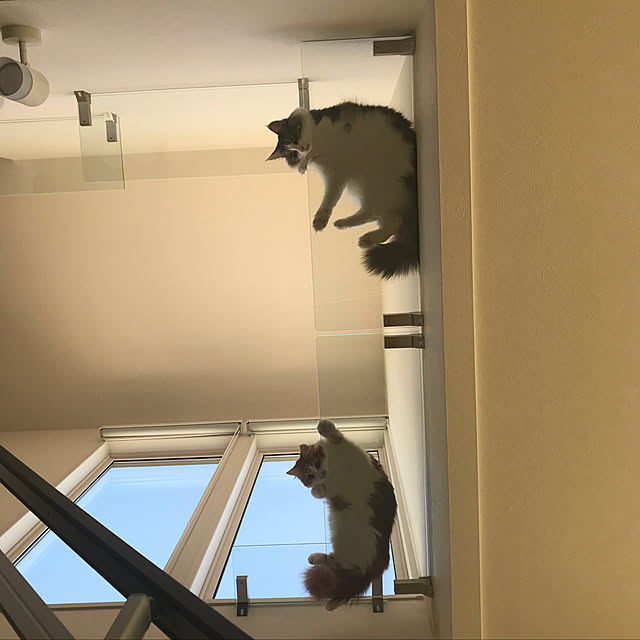 Nanamiさんの実例写真