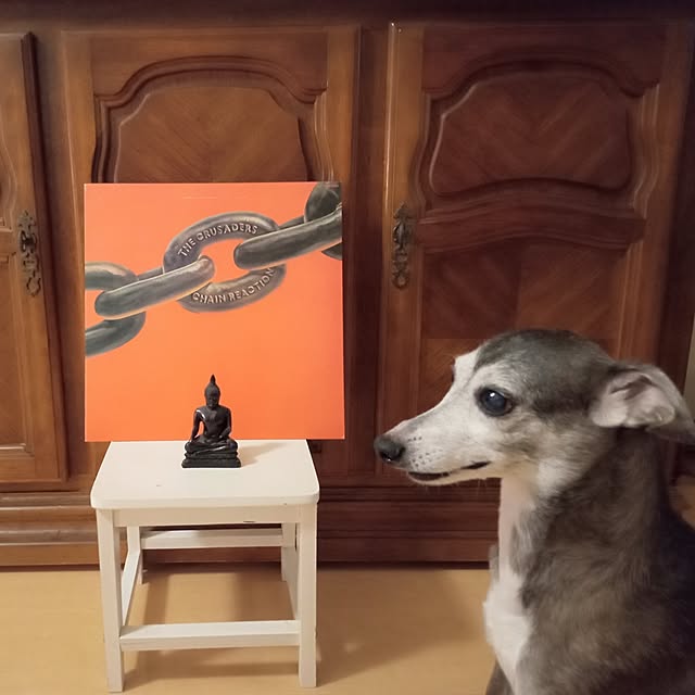 moruさんの部屋