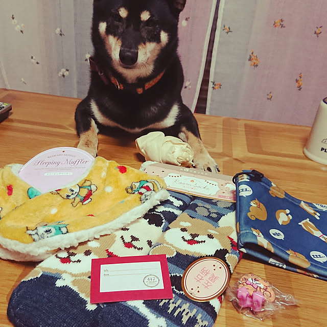 xxxakyxxxさんの実例写真