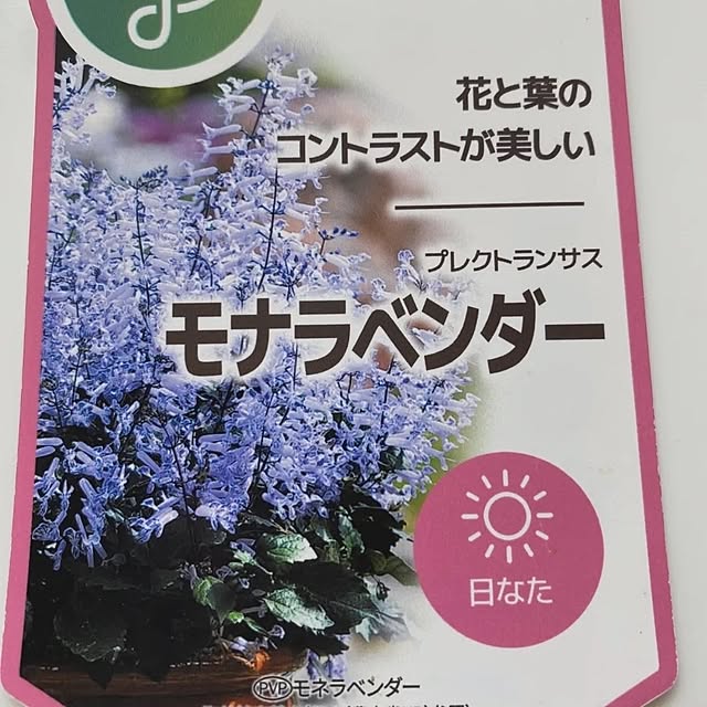 kiyosukeさんの部屋