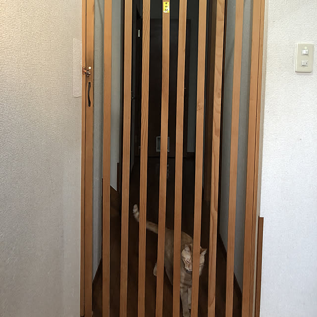 eatsugaさんの実例写真