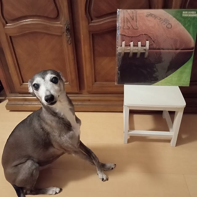 moruさんの実例写真