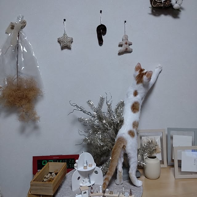 kanaさんの部屋