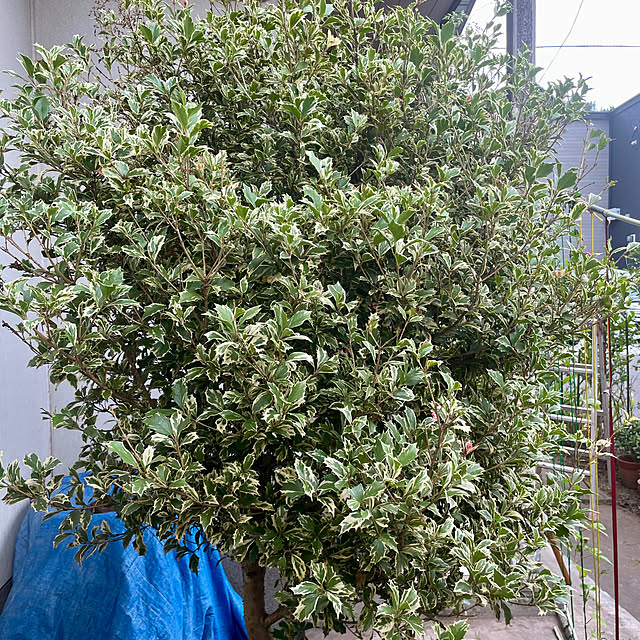 keiさんの部屋