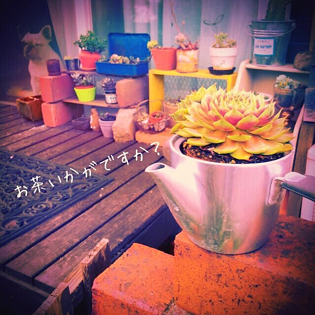 38coreさんの実例写真