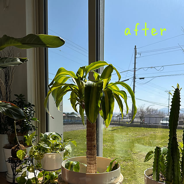 hanahana1444さんの実例写真