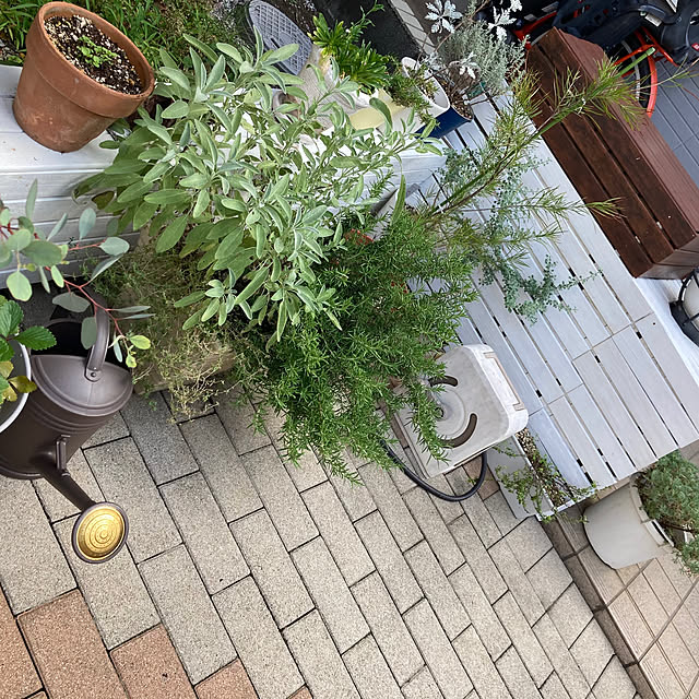 kayokos0801さんの部屋