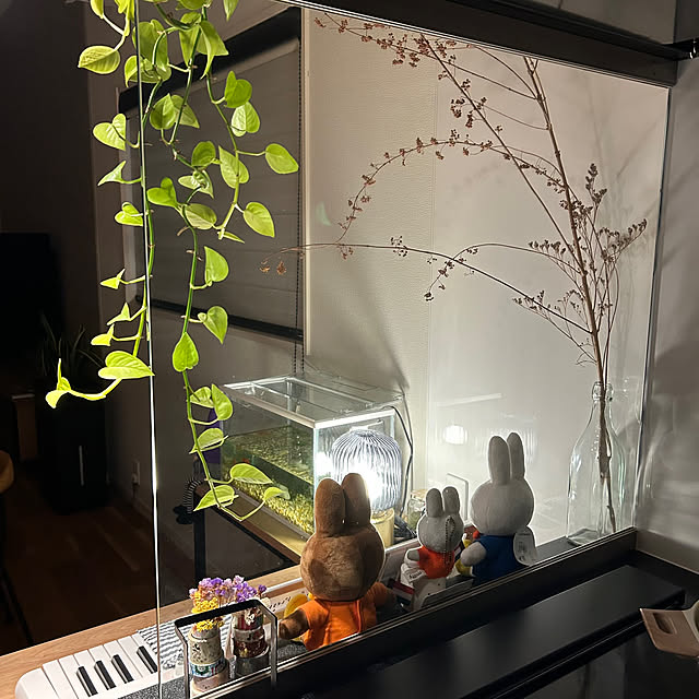 miffy.0044さんの部屋