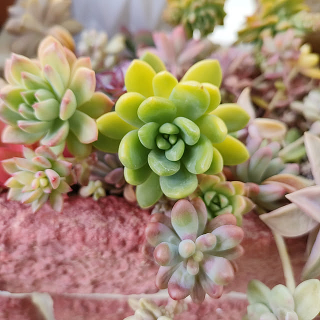 VERANDARJUNさんの実例写真