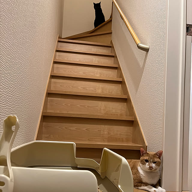 MEさんの実例写真