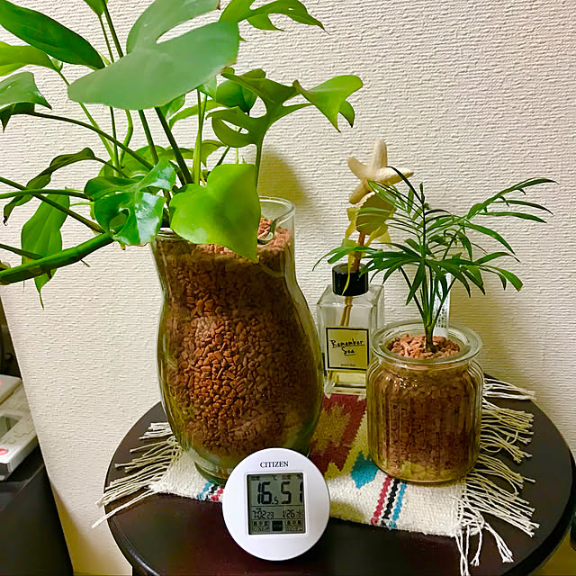 minamiさんの実例写真