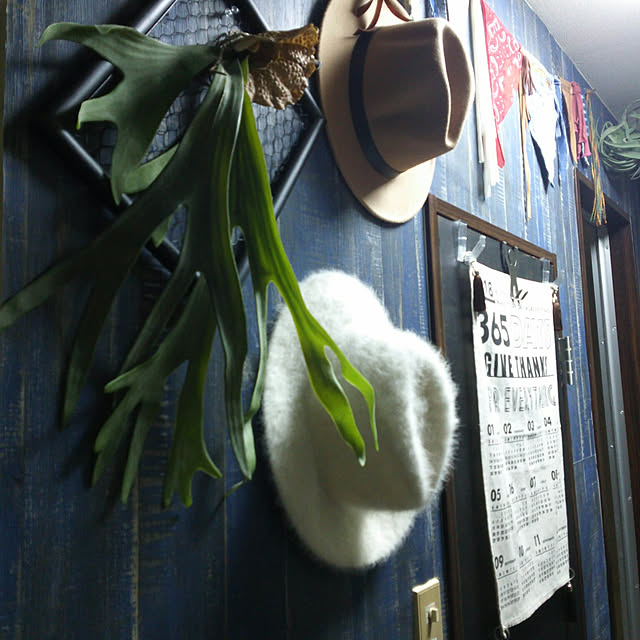 yukariさんの実例写真