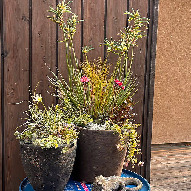 mamichopさんの実例写真