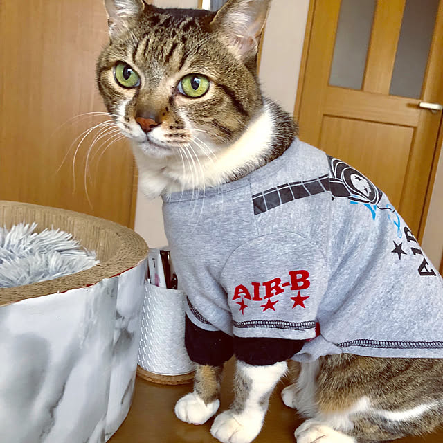 nnmmさんの実例写真