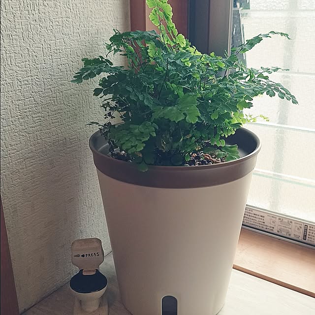 soyokoさんの実例写真