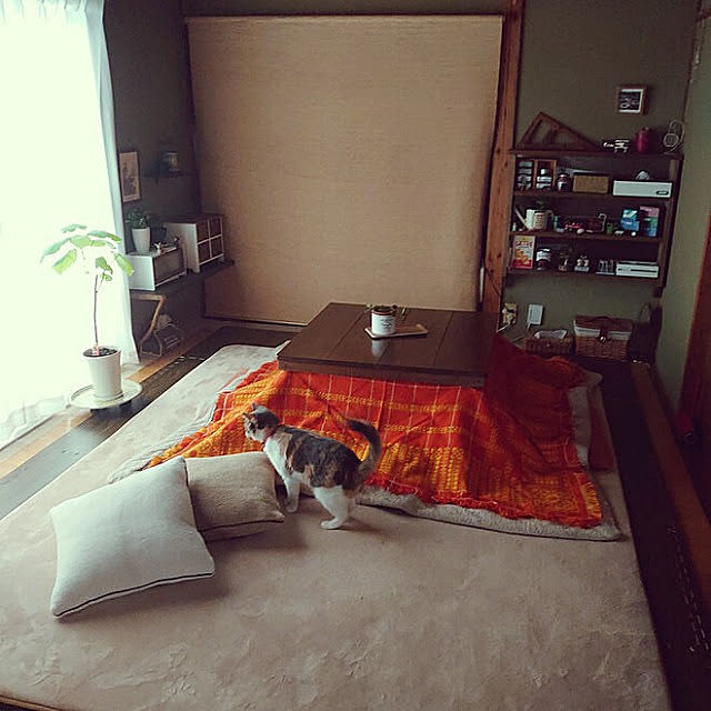 fukuさんの実例写真