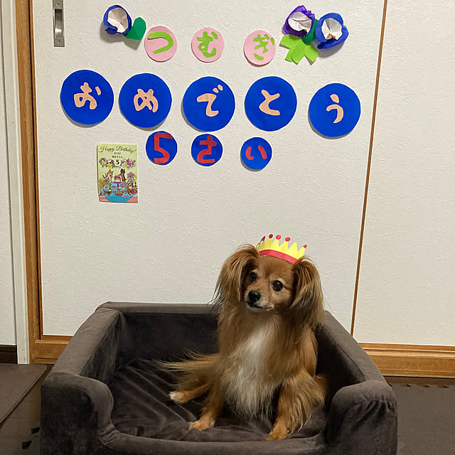 toratanさんの実例写真
