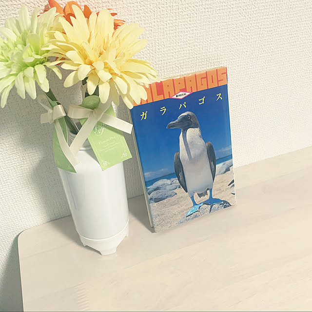 tyさんの実例写真