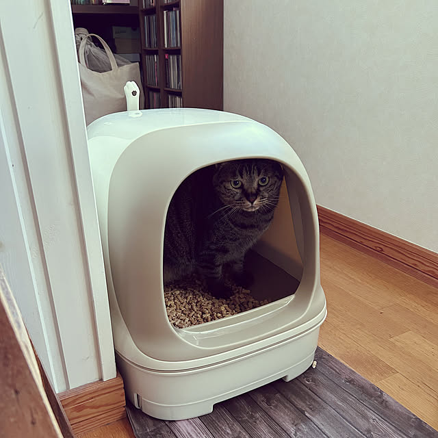 sachiさんの実例写真