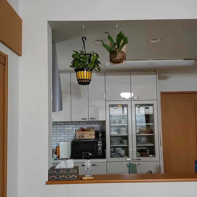 reguさんの実例写真