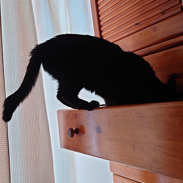 tetumuraさんの実例写真