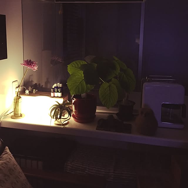 mintさんの実例写真