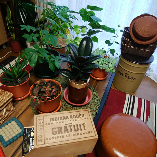 Brown.Lifeさんの実例写真