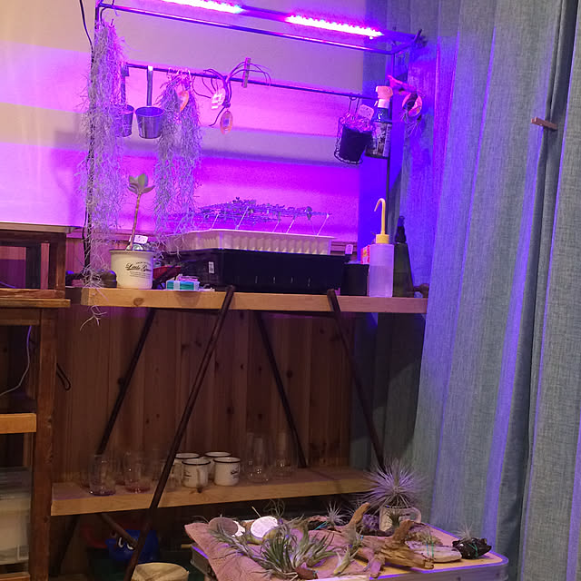 1632tairaさんの実例写真