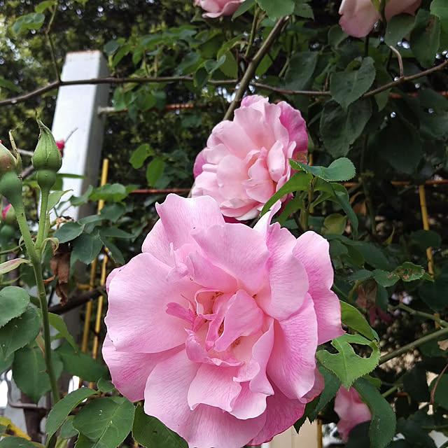 HIRO.TA29さんの実例写真
