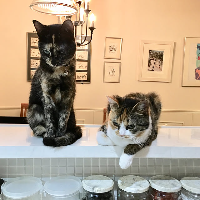nerogaraginさんの実例写真