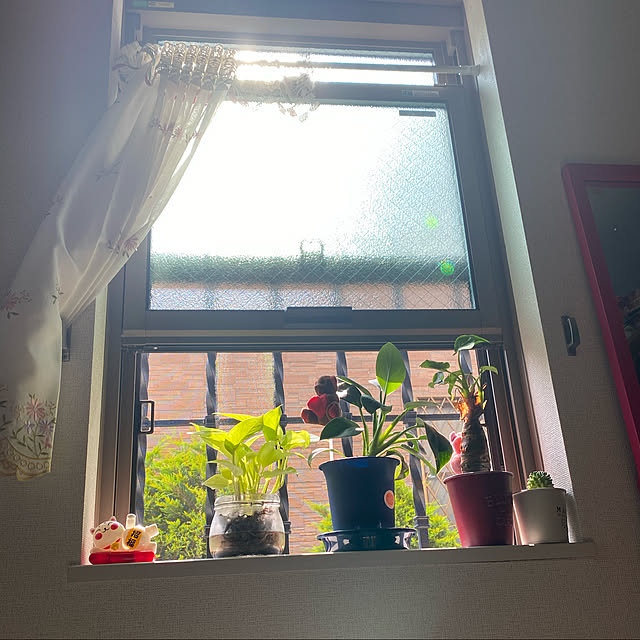 実例写真