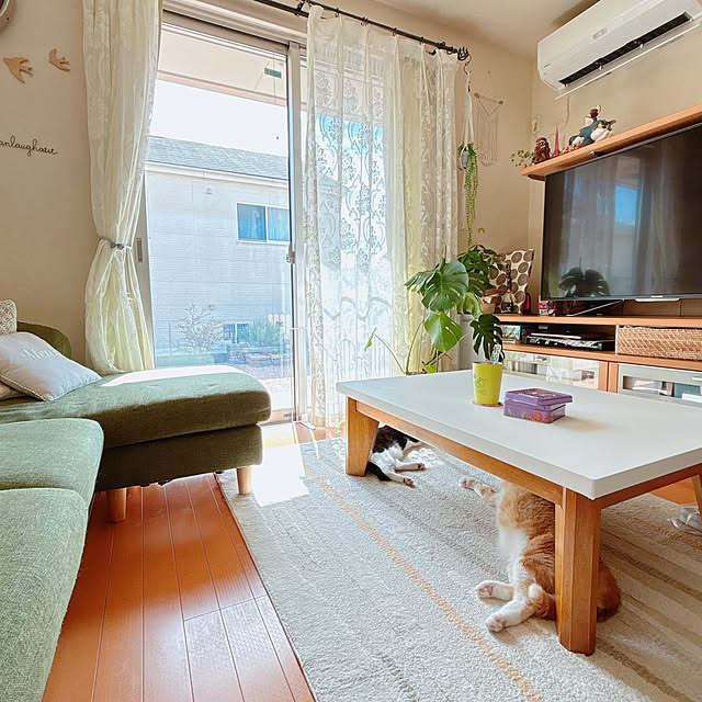 moolさんの部屋