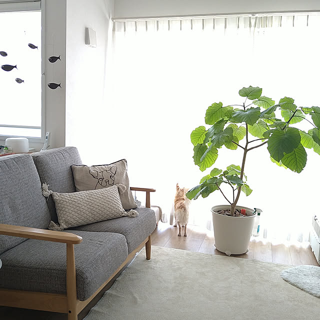 __home_m.さんの実例写真
