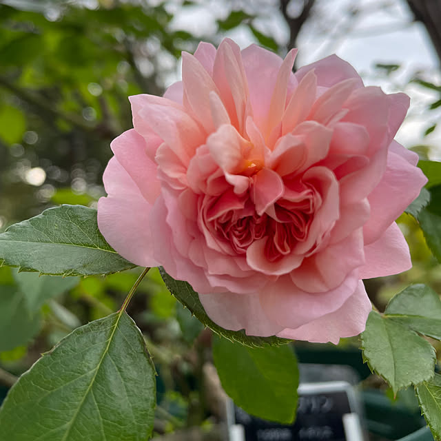 natsumiさんの部屋