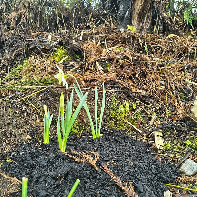 Rubiconさんの部屋