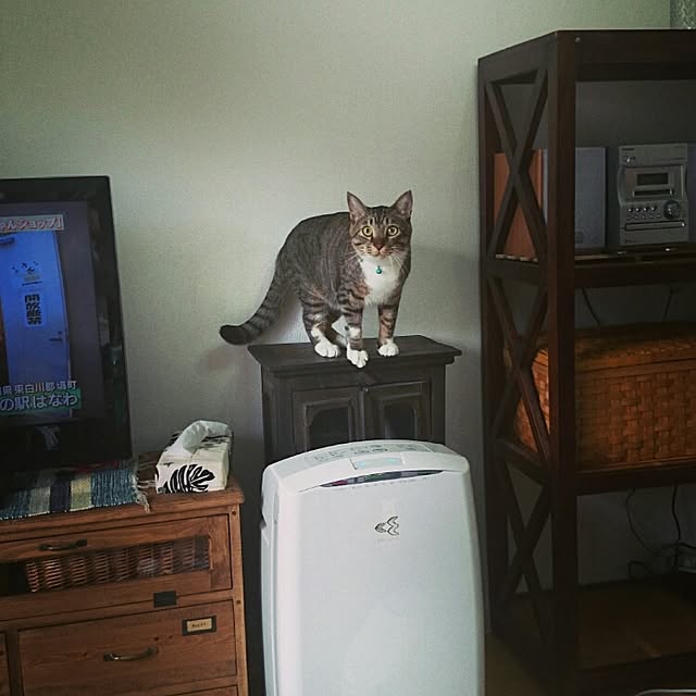 yockenさんの実例写真