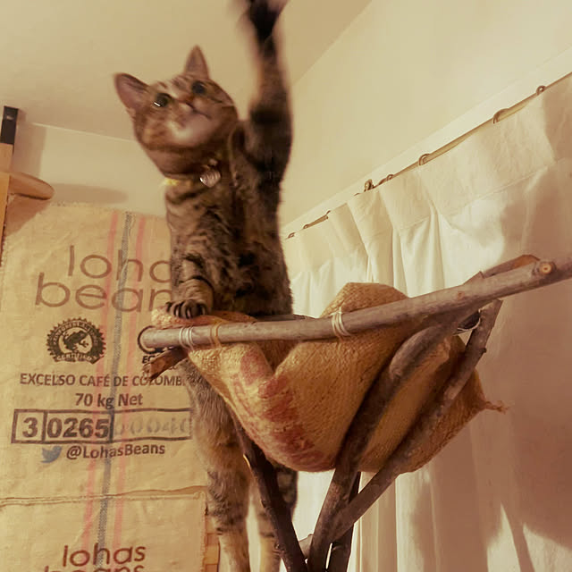 Mさんの部屋
