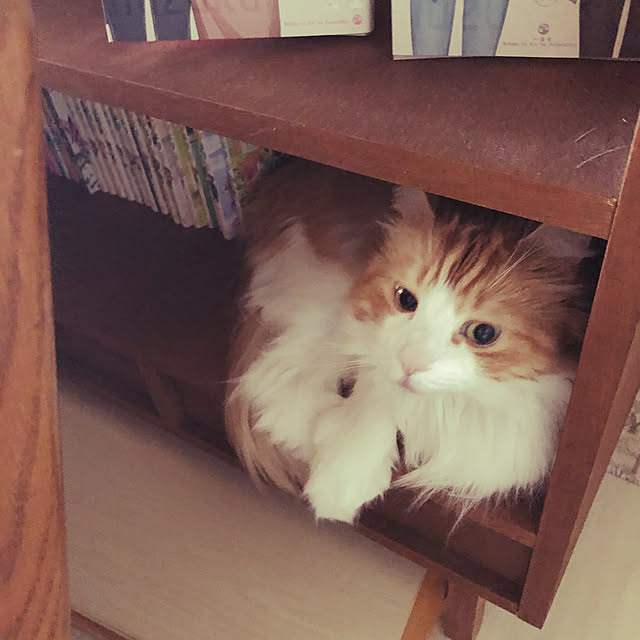 uchidaizuさんの実例写真