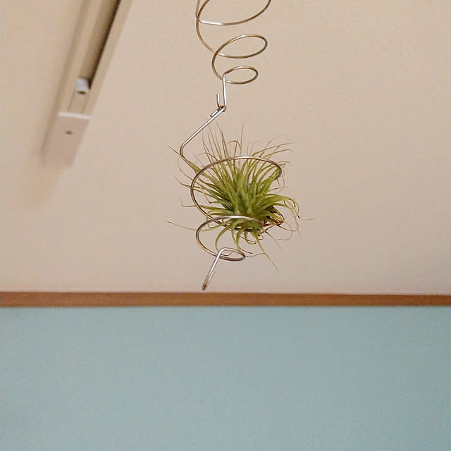 pineapple_kmさんの実例写真