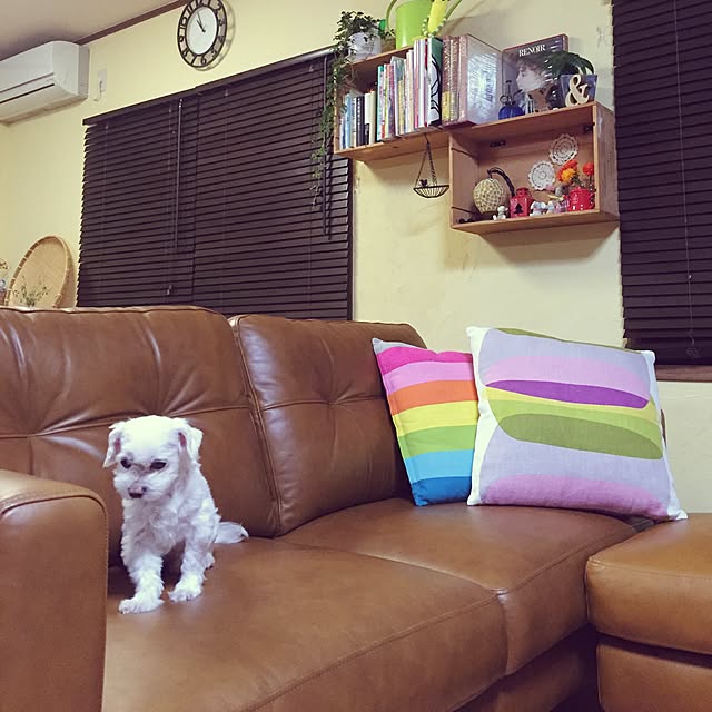 yumiさんの実例写真
