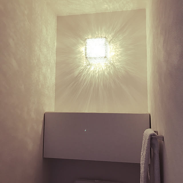 northern_lightsさんの実例写真