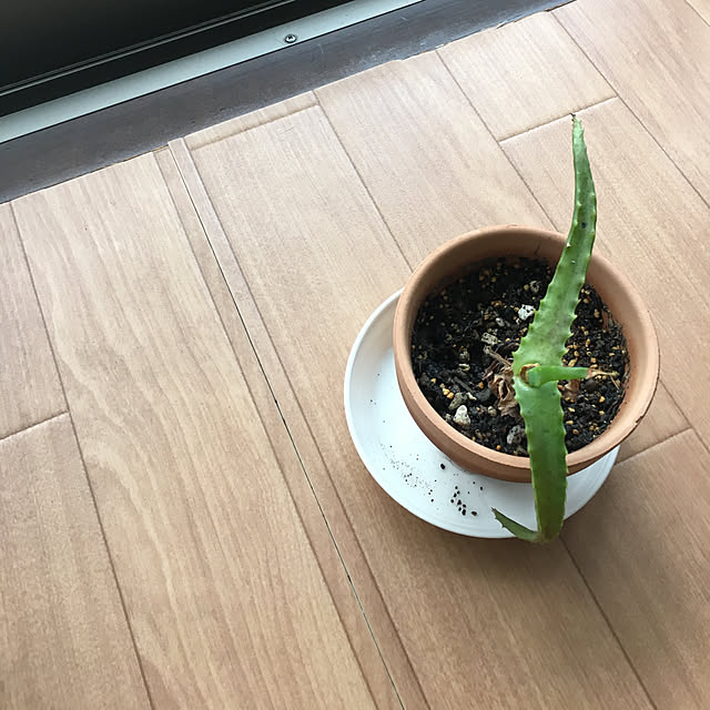 aiiaさんの実例写真