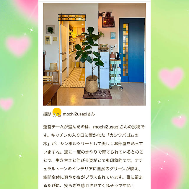 mochi2usagiさんの実例写真