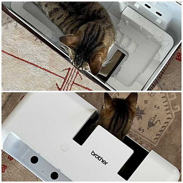 nobikoさんの部屋