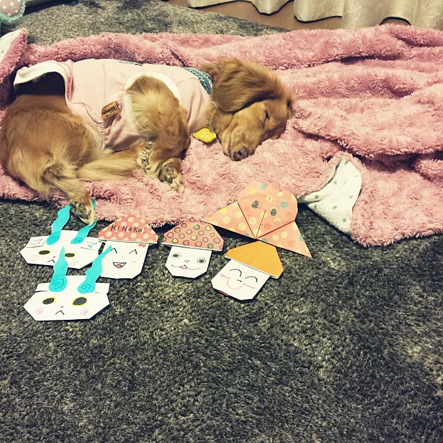 sumireさんの実例写真