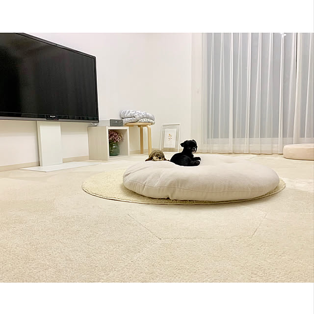haruhinaさんの実例写真