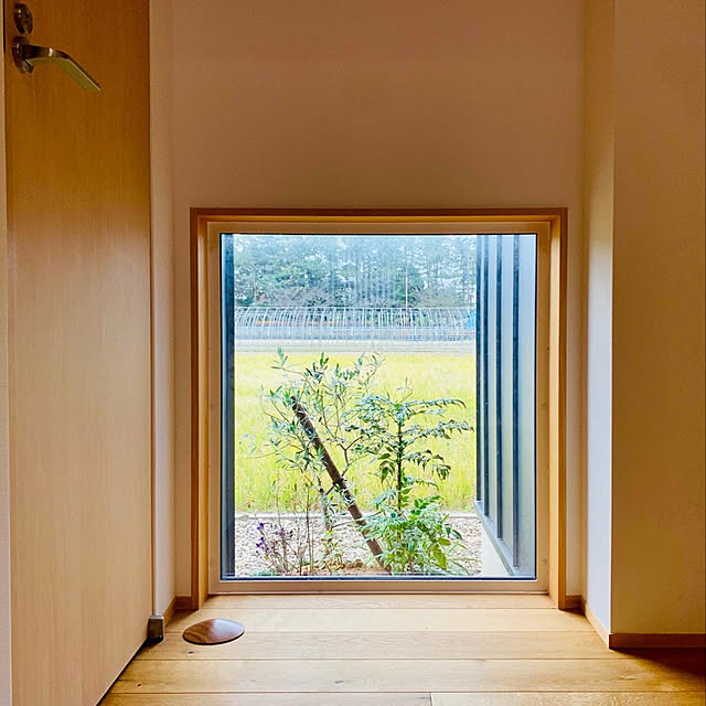 庭/屋外/植栽/玄関/入り口のインテリア実例 - 2021-12-16 19:10:29