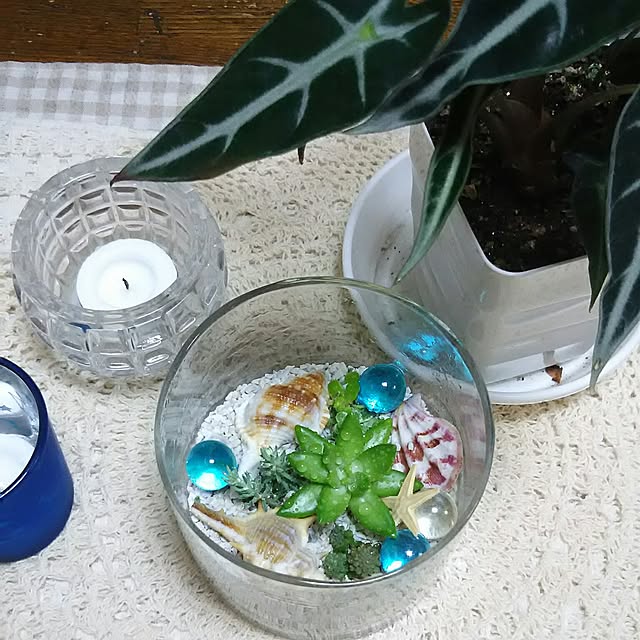 naopyiさんの実例写真